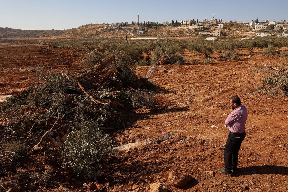 رجل فلسطيني ينظر إلى أشجار الزيتون التي يقال إن جنوداً إسرائيليين اقتلعوها باستخدام جرافة في قرية المغير (أ ف ب).