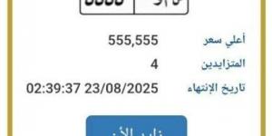 بنصف مليون جنيه.. طرح التزايد على لوحة سيارة مميزة | اعرف الخطوات - مصدرنا الإخبارى