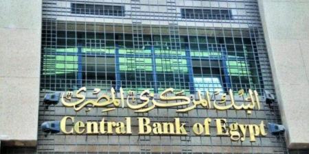 «فيتش» تتوقع 2% خفضا في الفائدة خلال اجتماع المركزي المصري المقبل - مصدرنا الإخبارى