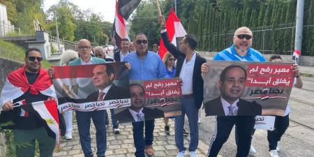 الجالية المصرية في النمسا ترفض محاولات الضغوط الخارجية على مصر.. صور - مصدرنا الإخبارى