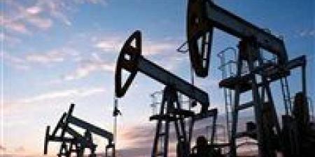أسعار النفط ترتفع إلى 67.79 دولار لبرنت و63.75 دولار لغرب تكساس وسط توترات عالمية وقرارات أوبك+ - مصدرنا الإخبارى