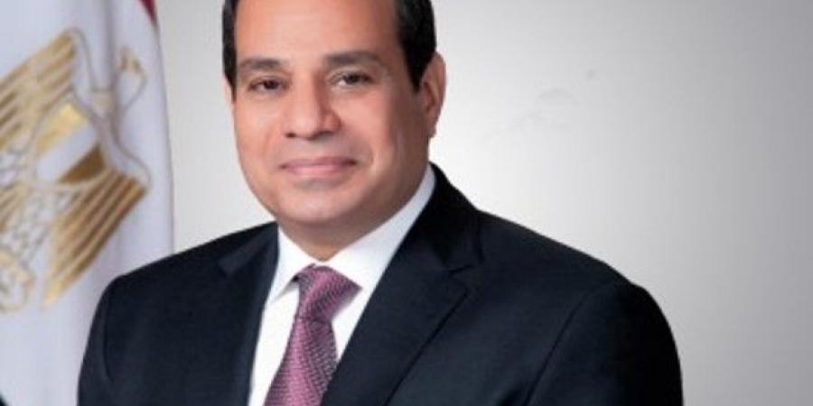 الرئيس السيسي يعود إلى أرض الوطن بعد زيارة السعودية - مصدرنا الإخبارى