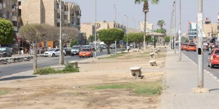 تطوير شبكة ري المسطحات الخضراء بالإسماعيلية - مصدرنا الإخبارى