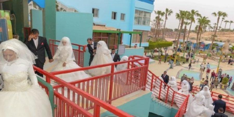 في لفتة إنسانية.. الأورمان تدعم زواج 12 فتاة يتيمة بالفيوم - مصدرنا الإخبارى