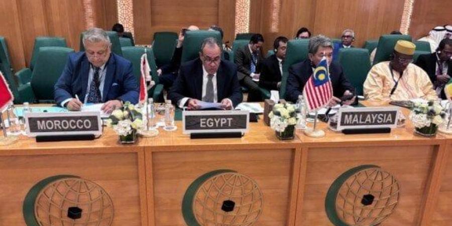 وزير الخارجية أمام منظمة التعاون الإسلامي: نرفض تصفية القضية الفلسطينية - مصدرنا الإخبارى