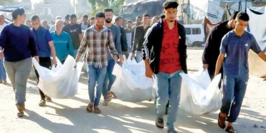 بوريل: ندعو لتحرك قضائي ضد تقاعس مؤسسات الاتحاد الأوروبي تجاه مجازر غزة - مصدرنا الإخبارى