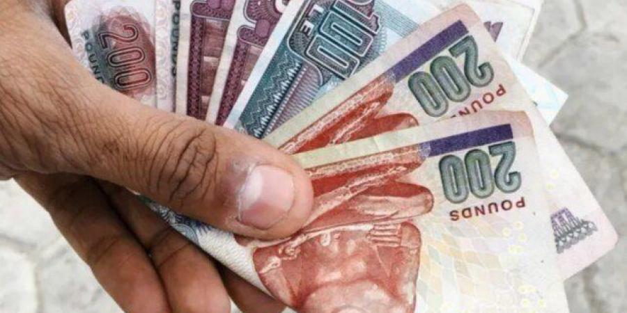 بعائد 22%.. شهادات ادخار وودائع بنك ناصر الاجتماعي - مصدرنا الإخبارى
