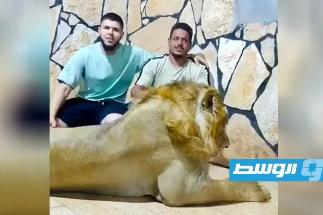 المدعي العام يقرر احتجاز “مروض الأسد” بعد نشر فيديوهات مروعة على وسائل التواصل الاجتماعي.