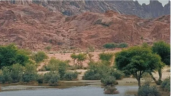 عاجل: الدفاع المدني السعودي يحذر من الاقتراب من ثلاث مناطق بسبب الأمطار الغزيرة والسيول