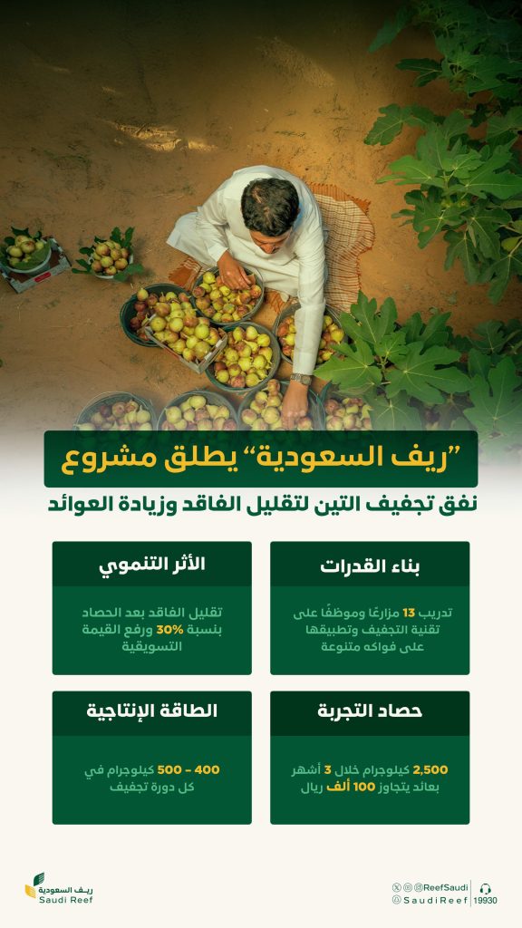 نفق تجفيف التين في ريف السعودية: خطوة جديدة لتعزيز الإنتاج المحلي