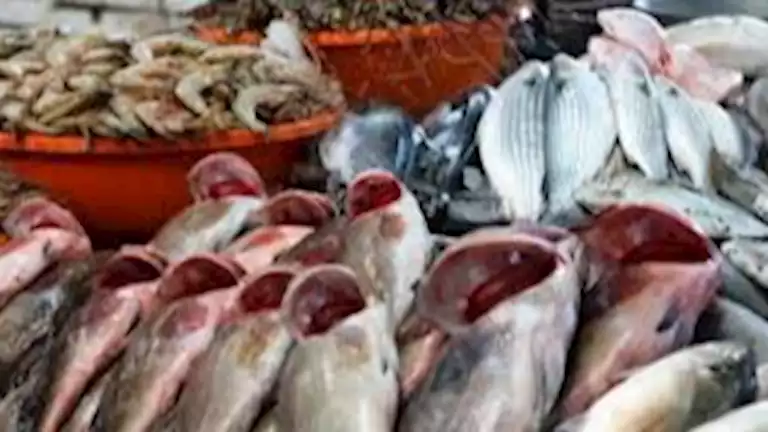 أسعار الأسماك في سوق العبور بتاريخ 21 أغسطس 2025