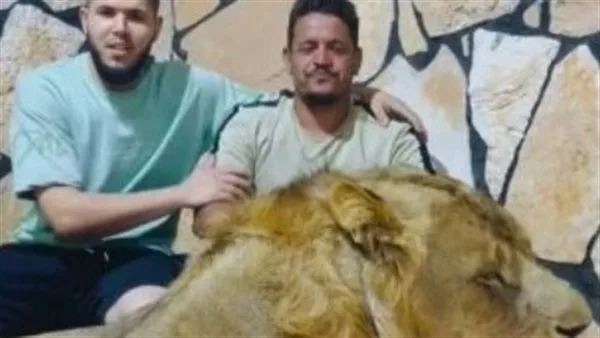 النائب العام في ليبيا يقرر احتجاز مالك مزرعة أطلق «أسده» على عامل مصري.