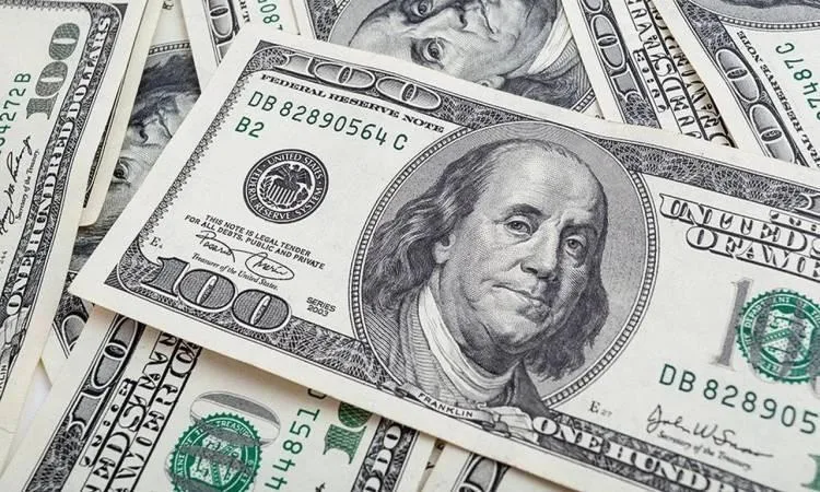 ثبات سعر الدولار أمام الجنيه المصري مع انطلاق تداولات اليوم