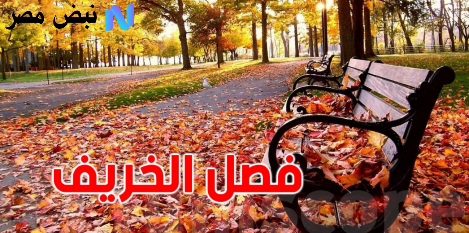 الخريف يطرق أبواب المملكة غدا.. طقس ألطف أمطار متفرقة وموسم مثالي للتنزه والزراعة 1\9\2025