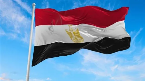 مصر تنبه من مخاطر توسيع العمليات العسكرية الإسرائيلية في غزة وتدعو إلى تدخل دولي سريع