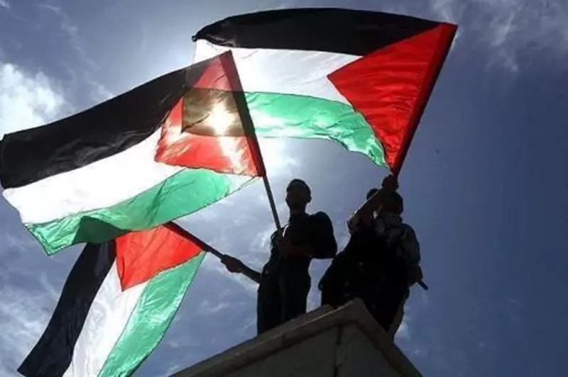 النرويج تتضامن مع فلسطين من خلال عائدات مباراة مع الكيان الإسرائيلي.