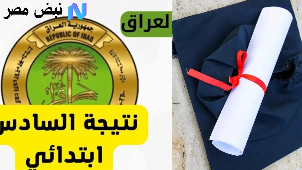 الآن نتائج الصف السادس الابتدائي 2025 دور ثاني في الديوانية خطوات الاستعلام الالكتروني